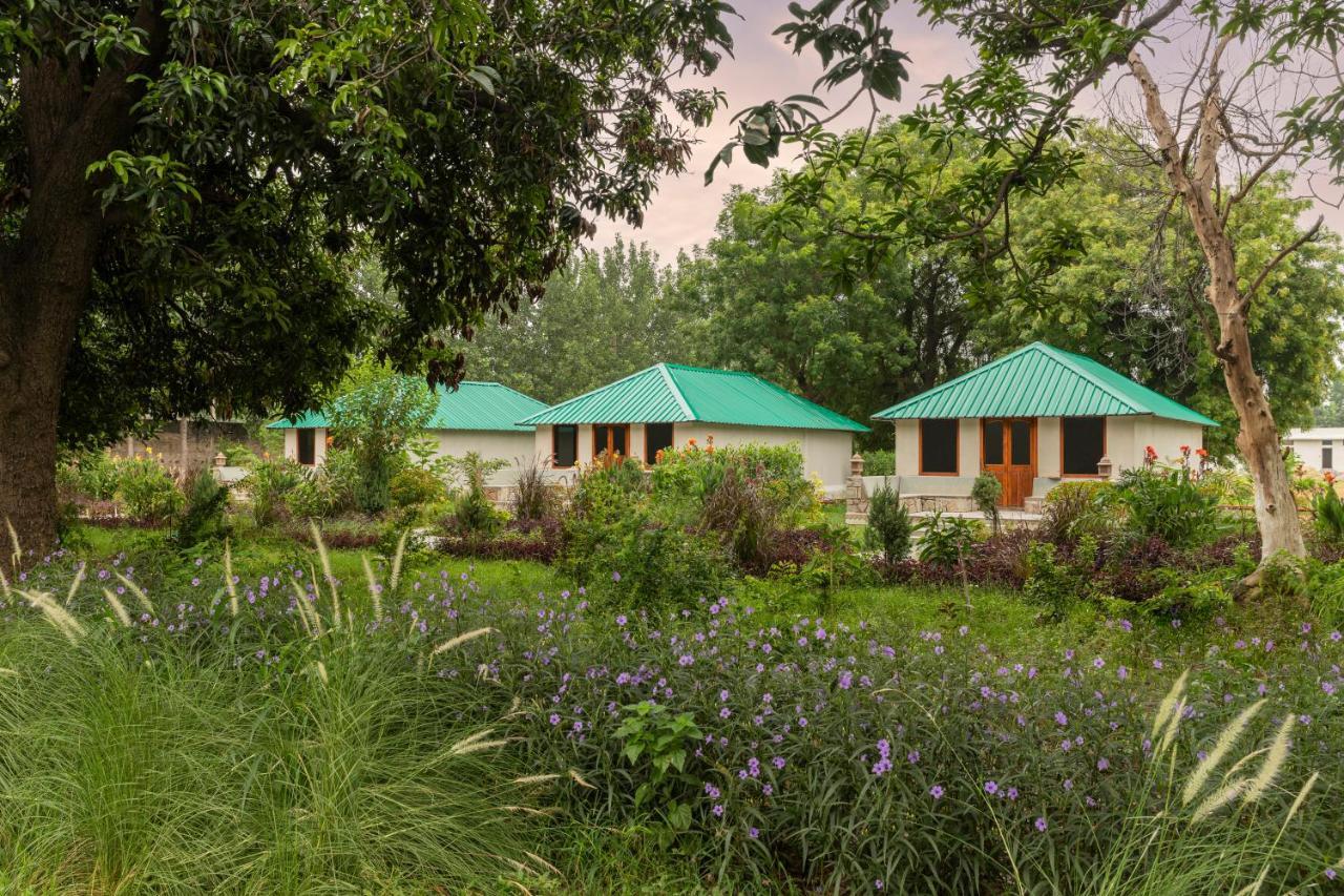 Zana Luxury Forest Resort, Ranthambore 사와이 마도푸르 외부 사진