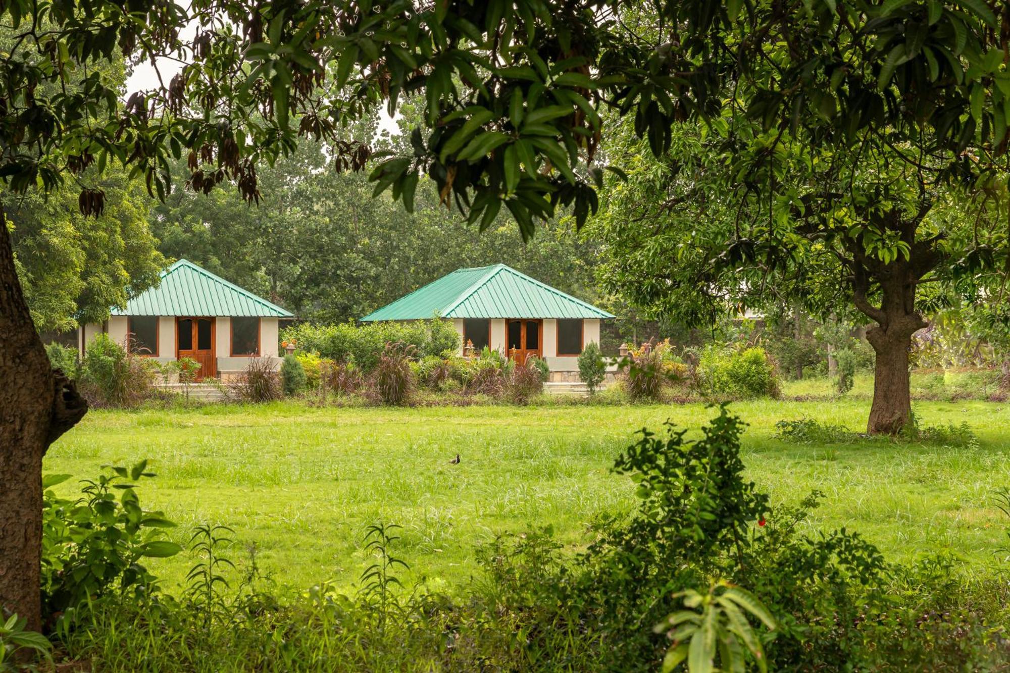 Zana Luxury Forest Resort, Ranthambore 사와이 마도푸르 외부 사진